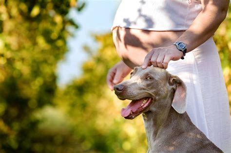 Mujeres pegadas a perros grandes